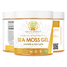 Load image into Gallery viewer, Ginger & Key Lime Sea Moss Gel