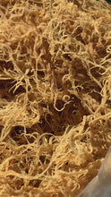 Load and play video in Gallery viewer, Wildcrafted Sundried Raw Sea Moss
